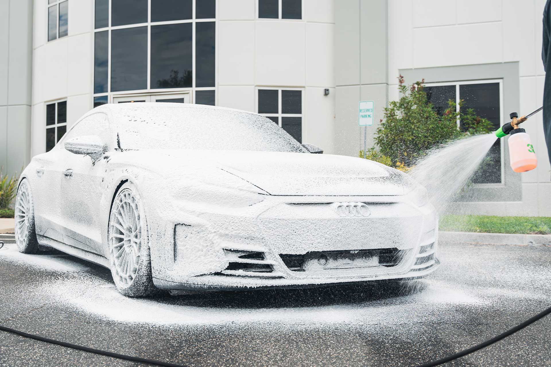 shampoo 3d